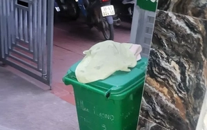 Xác minh vụ bé nam sơ sinh tử vong trong thùng rác ở Bắc Ninh