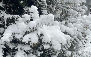 Nơi vừa có tuyết rơi hiếm có sau gần 20 năm!