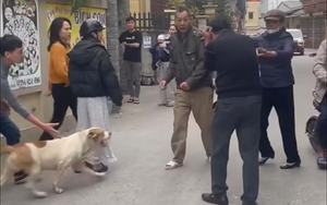 Vụ thả chó cắn người nhập viện ở Hà Nội: Nạn nhân kể chi tiết