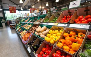 Loại rau nhiều vitamin C hơn cả chanh, báo Anh khen nức nở: Người Việt trồng lãi hàng trăm triệu