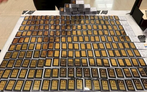 Gia đình “ăn vạ bảo hiểm” quái nhất: 12 năm bị thương 500 lần, lừa 14 công ty 23 tỷ đồng, đổi được 260 thỏi vàng và 7 căn nhà