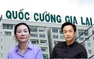 Lai lịch 2 công ty đặc biệt bị Quốc Cường Gia Lai bán để trả khoản nợ nghìn tỷ cho bà Trương Mỹ Lan