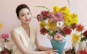 Không chỉ đẹp, đây là lý do người xưa dặn nhất định phải bày hoa cúc ngày Tết để gọi "dương khí" vào nhà