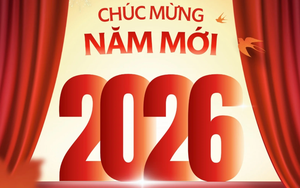 100+ lời chúc Tết Dương lịch 2026 độc đáo, hài hước và ý nghĩa