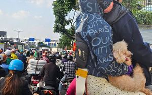 Bộ phim "VỀ QUÊ" chính thức được công chiếu: Các tuyến đường bắt đầu đông đúc, người dân lỉnh kỉnh mang theo cả thú cưng rời thành phố nghỉ lễ 4 ngày