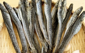 Loại "cá nhà nghèo" ngọt như mì chính, được ví là "sâm nước", giá tới nửa triệu đồng 1kg