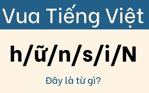 Đừng nhận mình là 'vua tiếng Việt' nếu không giải được câu này trong 5 giây