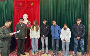 Khởi tố Lương Quỳnh Anh