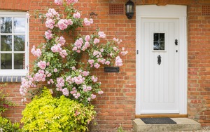 4 loại cây không nên trồng trước nhà dù thích đến mấy