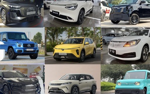 Toàn cảnh xe điện Việt Nam năm 2025: 300 triệu - 9 tỷ đồng, nhiều xe nhưng không phải mẫu nào cũng có khách