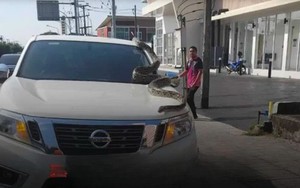 Nhìn vào chiếc xe bán tải màu trắng, người đi đường chứng kiến cảnh đáng sợ