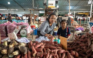 Lạm phát ở nước Đông Nam Á này giảm mạnh, nhưng vẫn gấp gần 8 lần Việt Nam