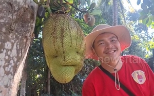 Quả mít có hình thù "lạ", người dân nườm nượp kéo đến chụp ảnh, thắp hương