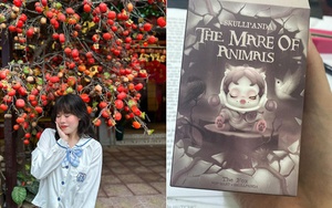 Từng chi tiền khủng chơi blind box nhưng bây giờ tôi thực sự hối hận và thấy việc "xé túi mù" thật sự phù phiếm!