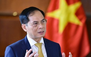 Phó Thủ tướng Bùi Thanh Sơn thêm nhiệm vụ mới