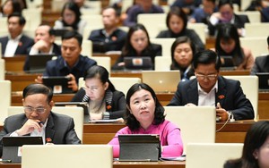 Có nên 'bình thường hóa' kỳ họp bất thường?