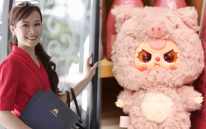 Con nằng nặc đòi mua túi mù baby three, chuyên gia khẳng định: Đây là cơ hội tốt để dạy con về tiền!