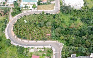 Cơ quan chức năng Đắk Nông nói gì về việc nắn đường thành hình chữ U?