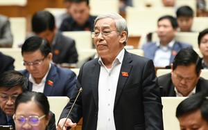 Bắn pháo hoa cũng phải Thủ tướng quyết định, còn thời gian đâu quản trị quốc gia?