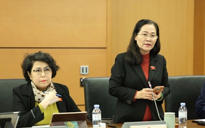 Cơ chế đặc thù cho dự án điện hạt nhân Ninh Thuận