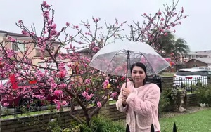 Nữ NSƯT là con dâu Thanh Tuyền: Qua Mỹ 24 năm nhưng chưa làm được 1 điều