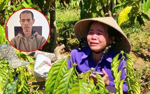 Vụ anh rể chặt phá vườn cà phê của em vợ: Hé lộ mối quan hệ uẩn khúc phía sau