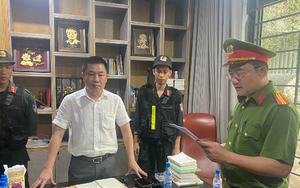 Vụ hơn 500 căn biệt thự trái phép ở Đồng Nai: Truy tố nguyên lãnh đạo Công ty LDG và nhiều cán bộ