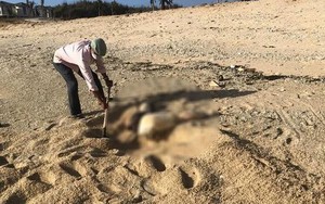 Phát hiện phần thi thể ở Ninh Thuận nghi liên quan vụ chồng phân xác vợ thả xuống biển