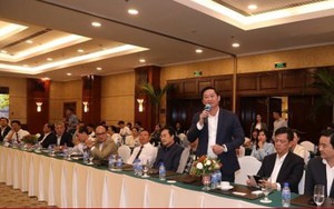 Nhiều tỷ phú thế giới đến Bình Định đầu tư, sao doanh nghiệp nội vẫn lăn tăn?