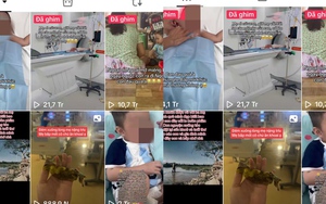 Tiền vẫn "chảy" vào tài khoản từ thiện của Tiktoker Phạm Thoại