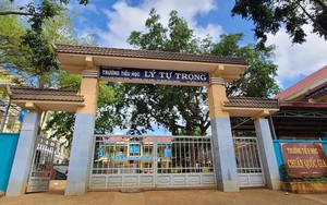 Tạm dừng công việc giảng dạy của giáo viên bị "tố" đánh, hành hạ nhiều học sinh