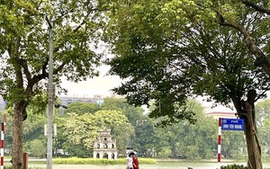 Nên bỏ cấp quận và thành phố thuộc tỉnh?