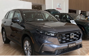Bảng giá ô tô Honda tháng 2/2025: Ngay say Tết, CR-V ưu đãi tới 100% phí trước bạ