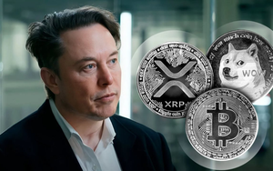 Mặc kệ xe điện, Elon Musk tham vọng xây dựng ‘chính phủ blockchain’, tiếp cận hệ thống 5 nghìn tỷ USD, muốn Bộ tài chính Mỹ dùng công nghệ trong tiền số