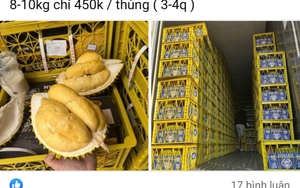 Thực hư “giải cứu” sầu riêng giá siêu rẻ