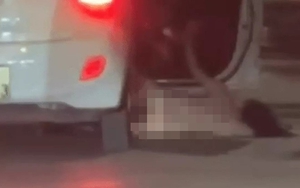 Cô gái khỏa thân bất ngờ rơi khỏi ô tô, trên xe còn ít nhất 3 nam thanh niên?