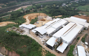 Vạch trần thủ đoạn trốn thuế của Chủ tịch Công ty Thái Dương cùng thuộc hạ