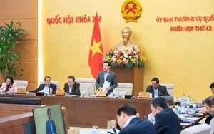 Không đề xuất chính sách mới về tiền lương đối với thẩm phán