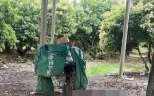 Phát hiện một nhân viên giao hàng tử vong gần một chòi rẫy