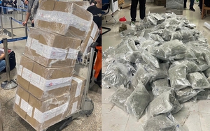 Cận cảnh 153kg cần sa trong đường dây buôn bán trái phép ma túy cực lớn, bắt giữ 7 người