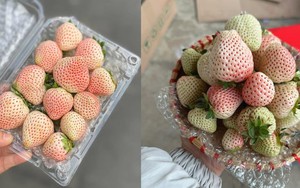 Loại quả từng có giá triệu đồng/kg nay bán rẻ bèo trên 'chợ mạng'