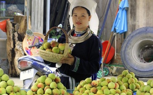 Loại quả giúp người dân huyện nghèo nhất cả nước có thu nhập “khủng”, được ví là thuốc trường sinh