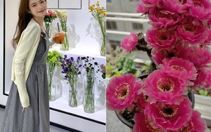 28 bông hoa trên cây xương rồng nở cùng lúc đã giúp một cô gái bình thường trở thành người nổi tiếng trên mạng!