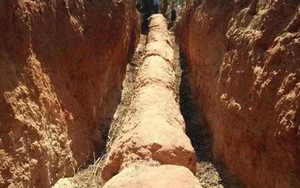 Người đàn ông đào trúng cây gỗ chết khô dài 30m: Hiện trường bị phong tỏa ngay lập tức, chuyên gia định giá là “kho báu trời cho” 660 tỷ đồng