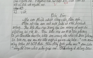 Học sinh tiểu học viết văn tả mẹ "thích nhất đếm tiền": Dân mạng cười nghiêng ngả còn mẹ thì ngượng chín mặt