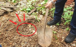 Brazil: Sát hại bà bầu 9 tháng rồi chôn xác ở vườn nhà, người phụ nữ khai nhận tội ác, hé lộ động cơ khó tin!