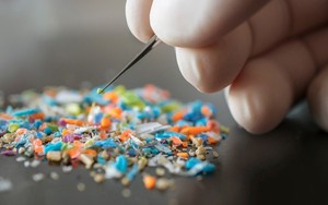 Một loại gia vị chứa nhiều hạt vi nhựa hơn cả đường và muối ăn, nhiều người Việt không biết vẫn ăn mỗi ngày