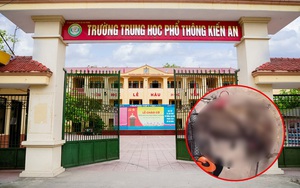 Xôn xao thông tin học sinh bị kỷ luật vì tố bảo vệ trường “làm thịt” chú chó đi lạc: Nhà trường nói gì?
