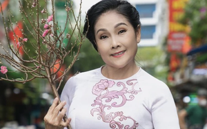 Nghệ sĩ Hồng Nhung tố cáo ca sĩ Nguyên Vũ và nhiều người khác