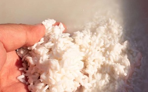 Hợp chất tăng tuổi thọ có trong "thứ bỏ đi" khi nấu rượu gạo?